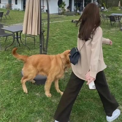 不灭之女